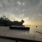 Bagan Lalang Mangrove