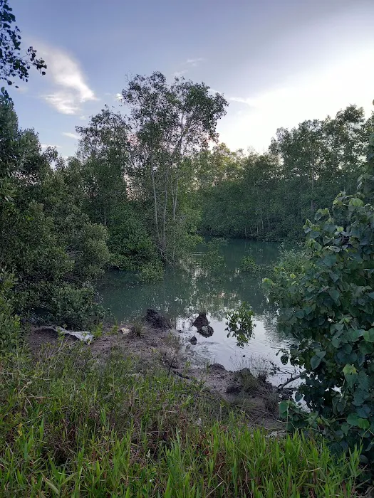 Bagan Lalang Mangrove Picture 3