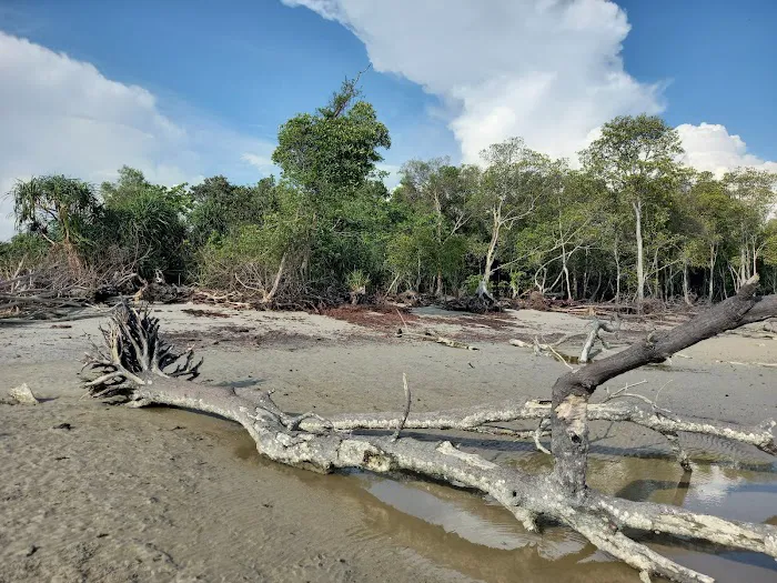Bagan Lalang Mangrove Picture 9
