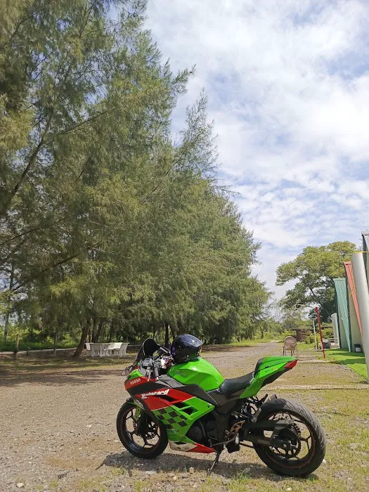 Remis Beach Homestay Picture 1