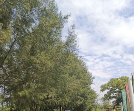 Remis Beach Homestay