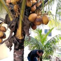 Villa Seri Idaman Jasmine ico