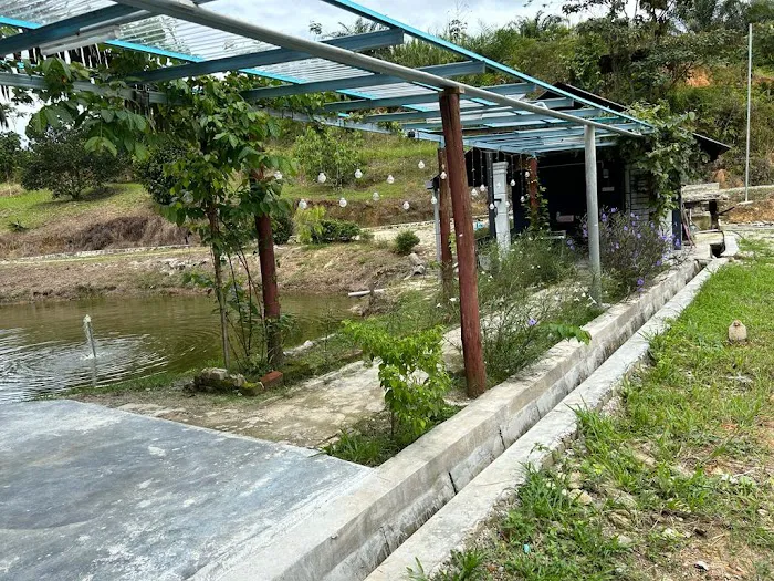 Jebat Farmstay Picture 7