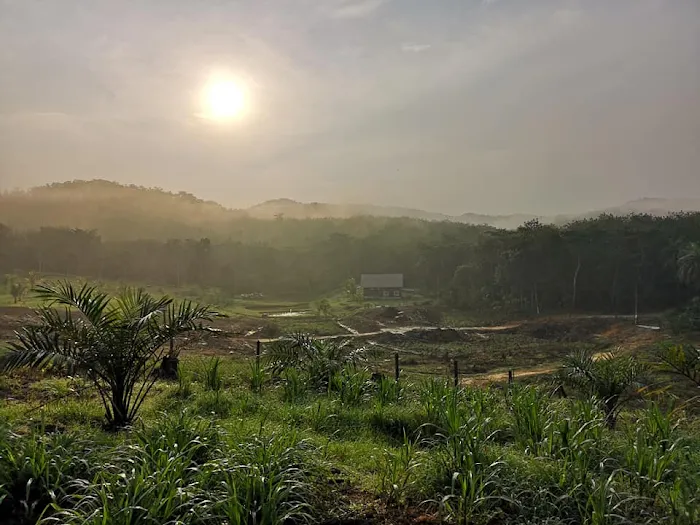 Jebat Farmstay Picture 9