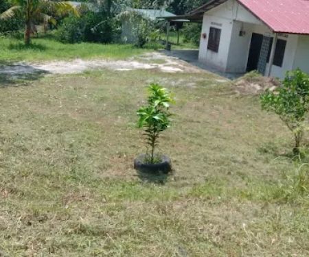 Hj Ilias Farmville