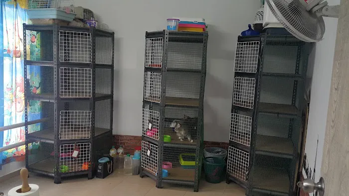 Hotel Kucing Indah Picture 4
