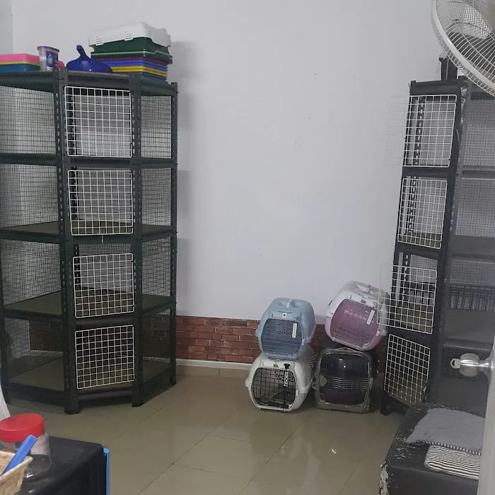 Hotel Kucing Indah Picture 7