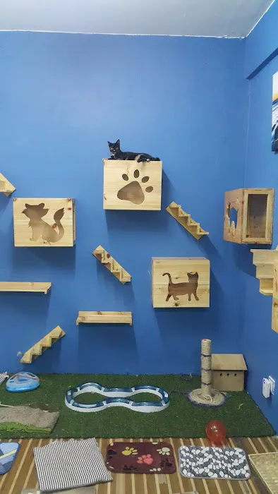 Hotel Kucing Indah Picture 1