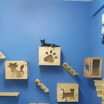 Hotel Kucing Indah