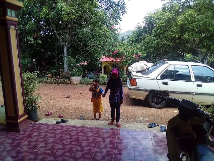 Rumah Kampung Felda Aring 1 Picture 4