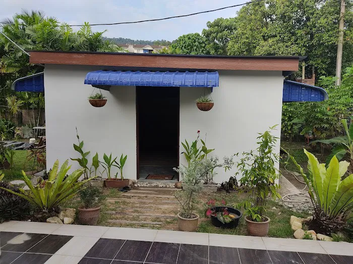 Rumah Kucing Rawang Picture 3
