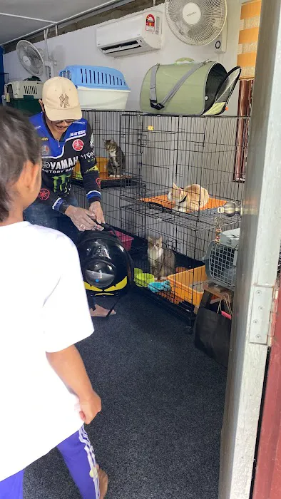 Rumah Kucing Rawang Picture 1