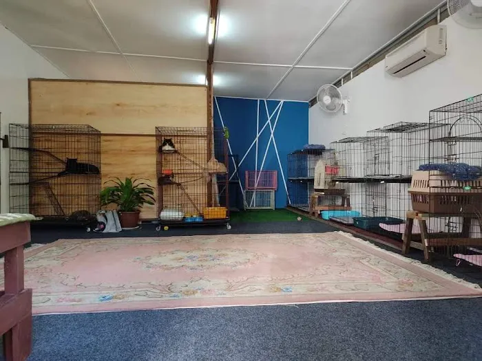 Rumah Kucing Rawang Picture 4
