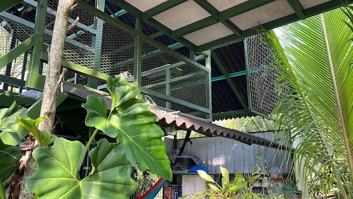 lakar malaya guest house Picture 1