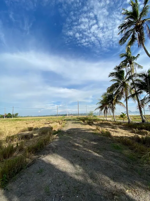 D’Santai Homestay Picture 4