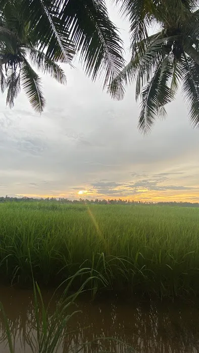 D’Santai Homestay Picture 6
