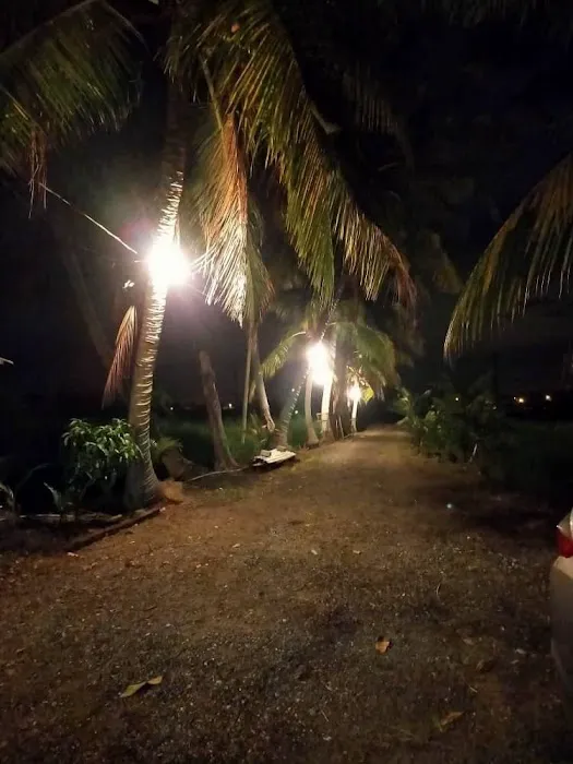 D’Santai Homestay Picture 2
