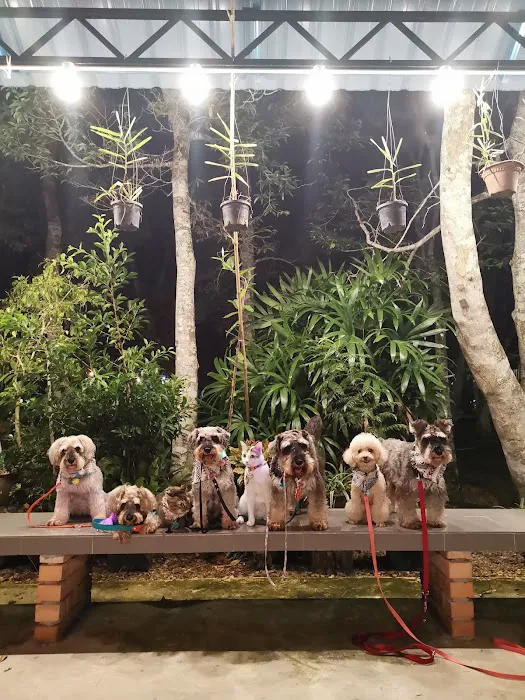 Triang Ecolodge Picture 7