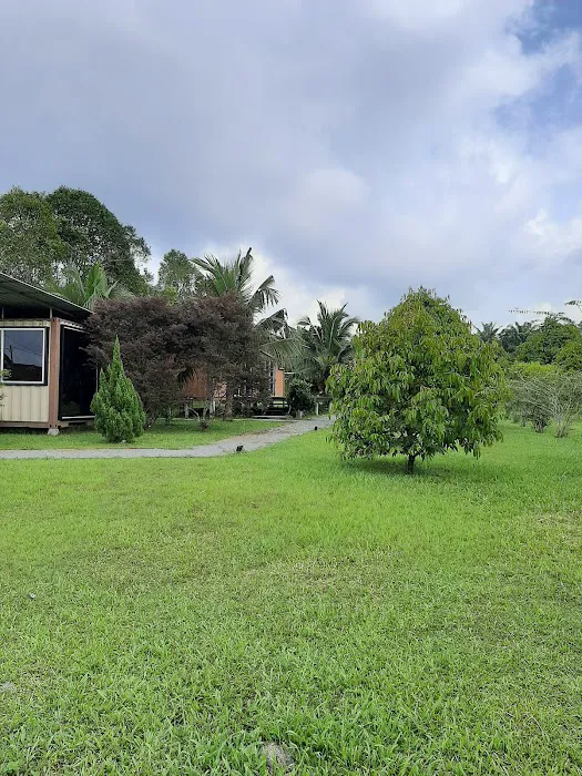 Triang Ecolodge Picture 10