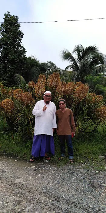 Rumah Imam Din Picture 5