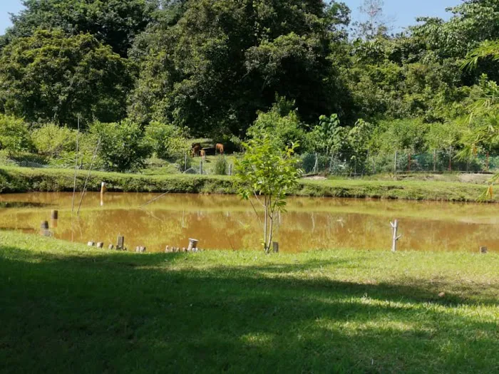 Cottage Tri Di Umi Picture 5