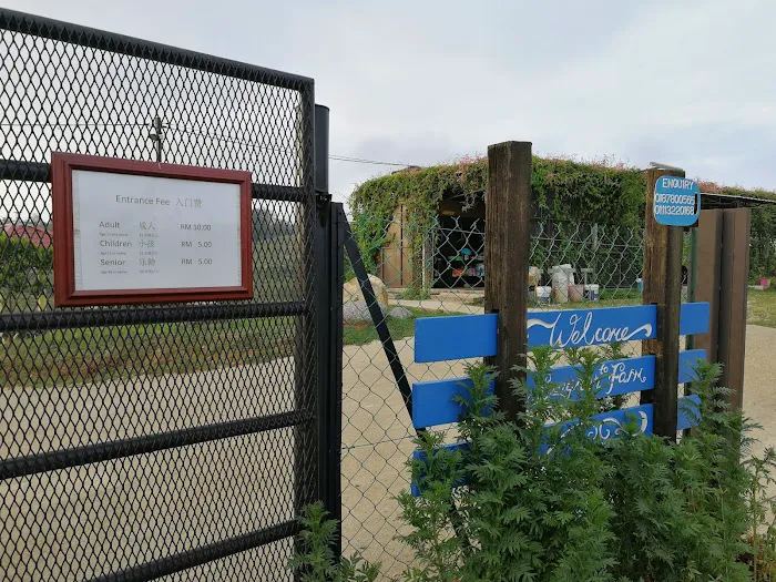 Sungreen Farm Picture 4