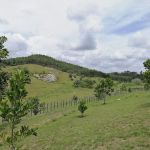 Sungreen Farm