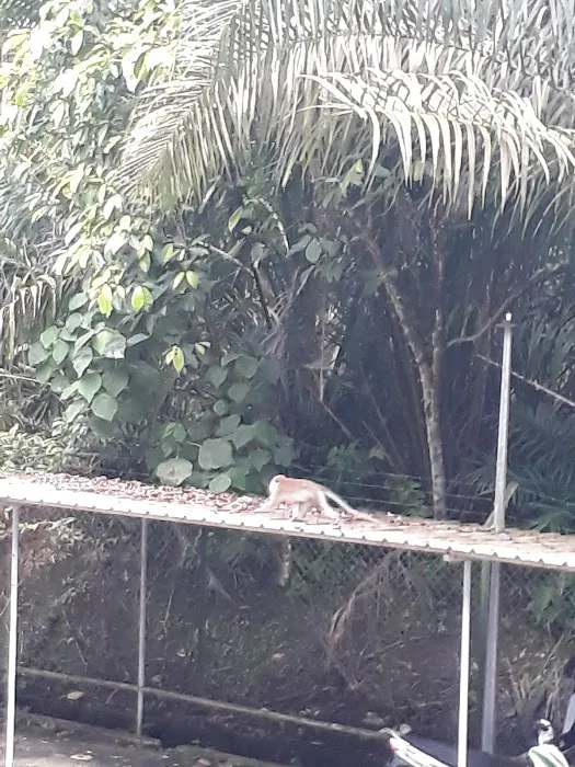Taman Bahtera Terrace Picture 3