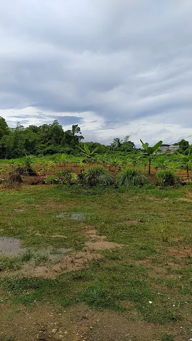 Teratak Seri Dusun Picture 1