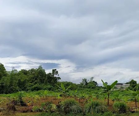 Teratak Seri Dusun