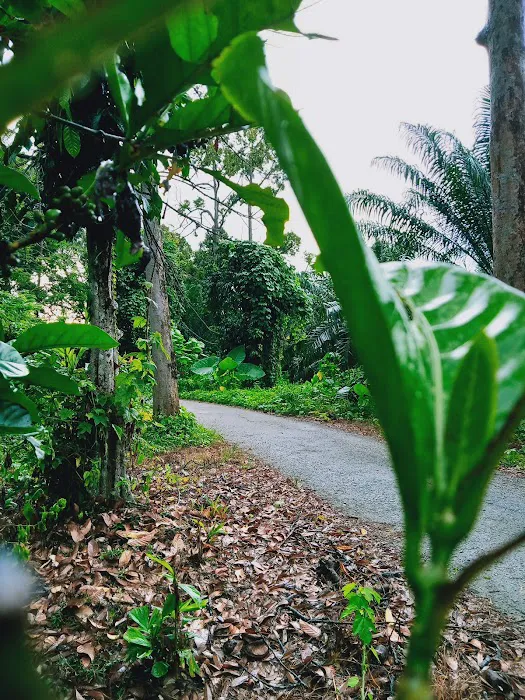 Kampong Broo Picture 3