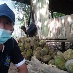 Kampong Broo