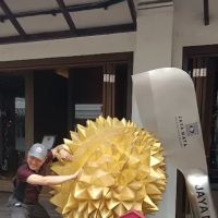 Cuti-Cuti Malaysia IOI Putrajaya ico