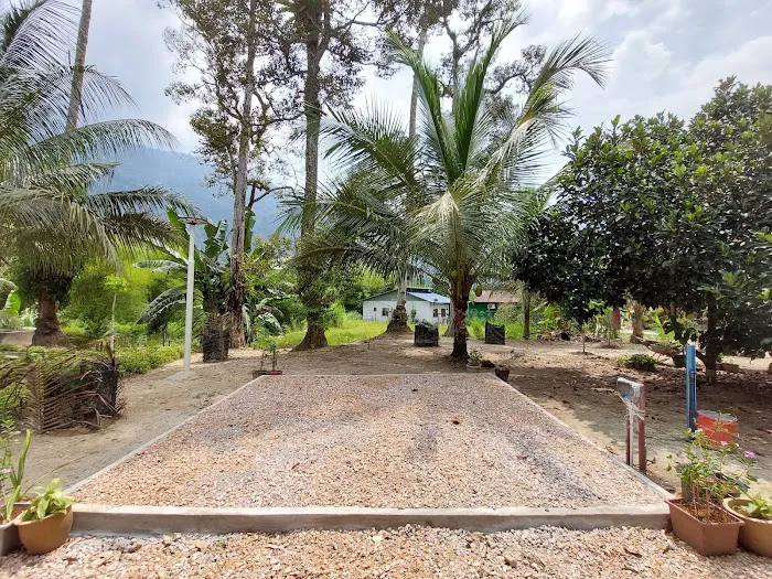 De' Sahom Oasis Homestay Picture 10