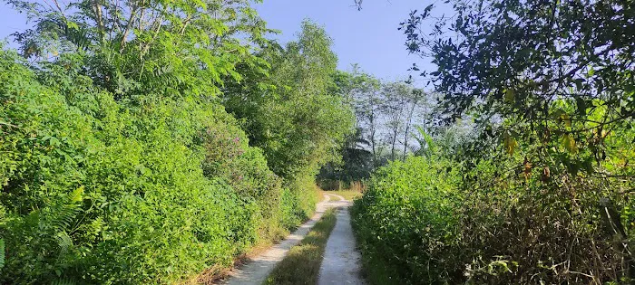 Kampong Baru Coldstream 冷水河新村 Picture 3