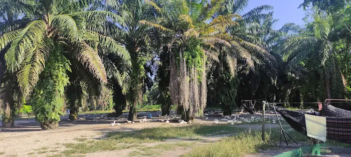Kampong Baru Coldstream 冷水河新村 Picture 8