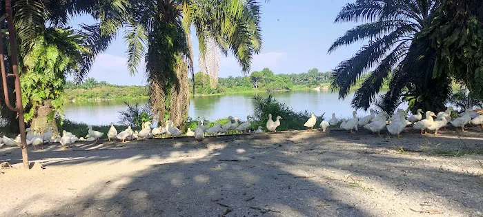 Kampong Baru Coldstream 冷水河新村 Picture 5