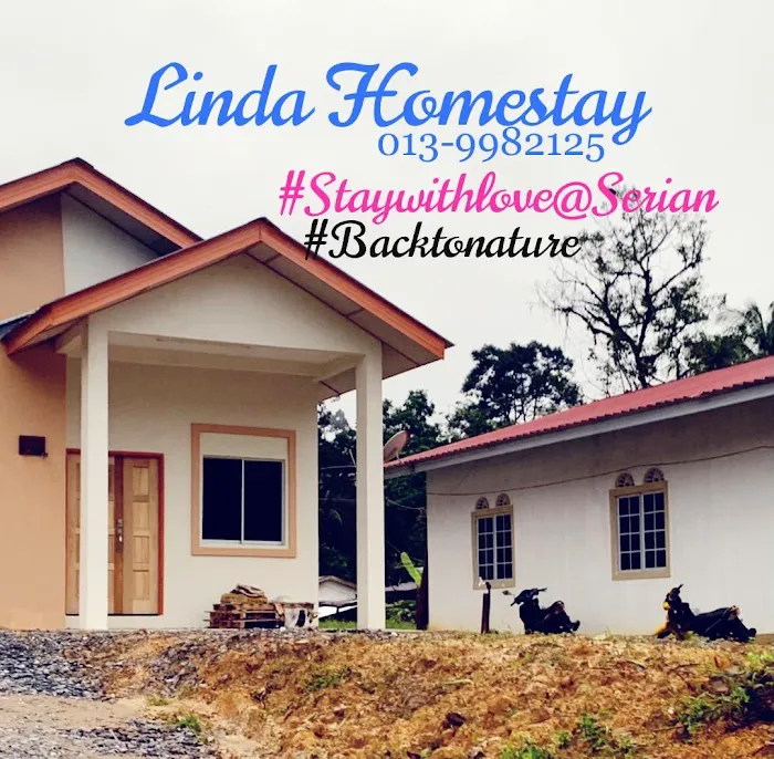 Linda Homestay@Serian Gua Musang Picture 4