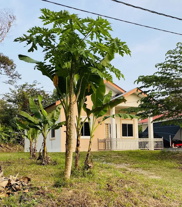 Linda Homestay@Serian Gua Musang Picture 5