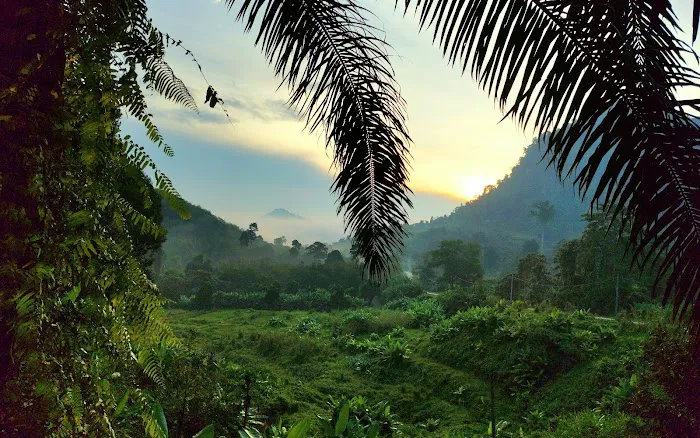 Mamat's Durian Lodging Picture 4
