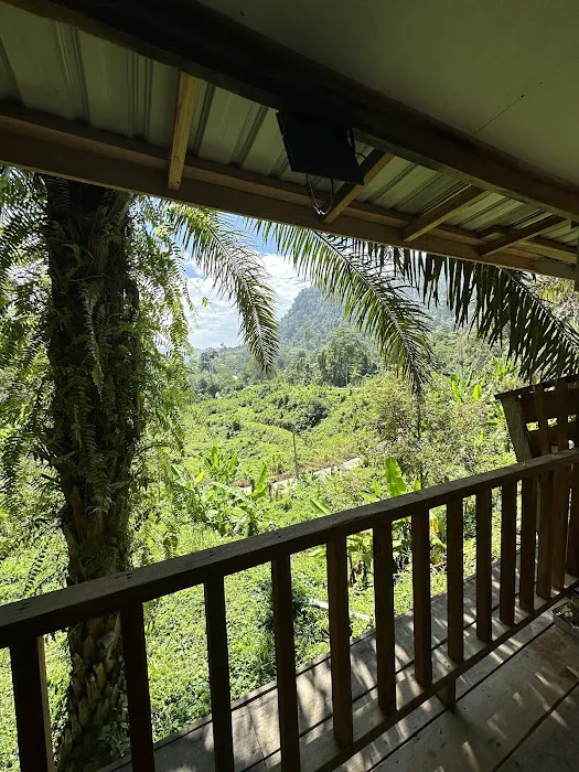 Mamat's Durian Lodging Picture 2