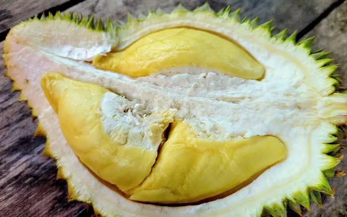Mamat's Durian Lodging Picture 3