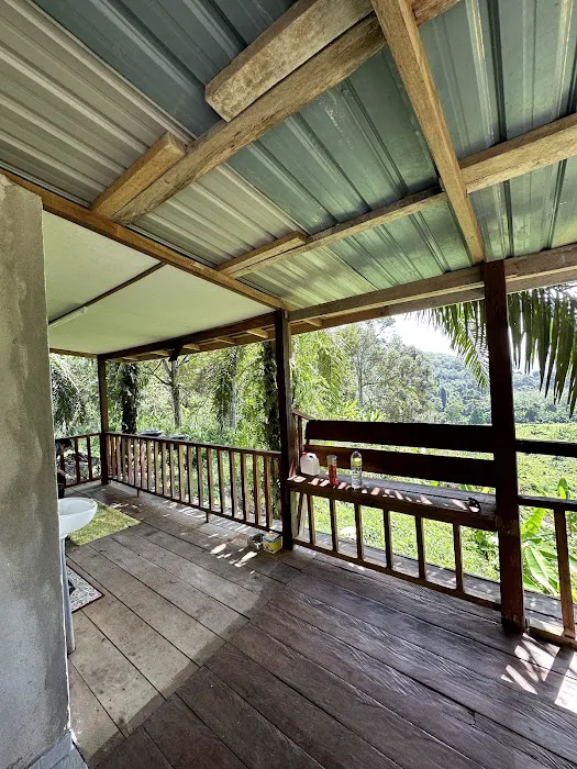Mamat's Durian Lodging Picture 7