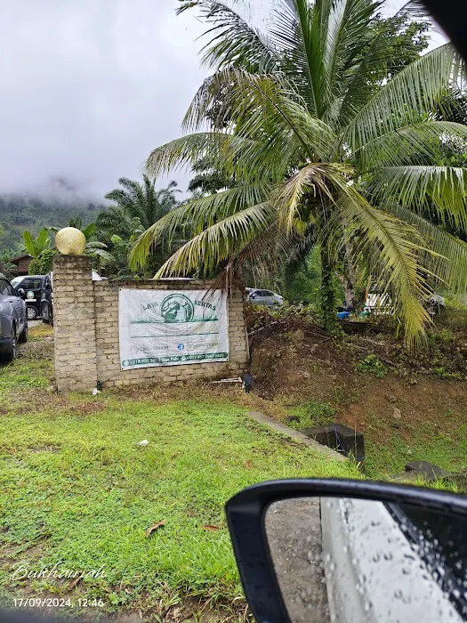 Mamat's Durian Lodging Picture 6