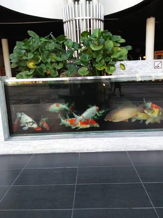 New Town Hotel Puchong Picture 9