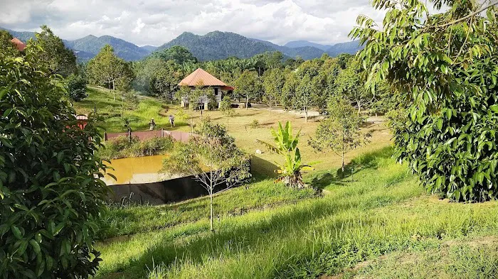 The Lumpang 乐龙邦 Picture 10
