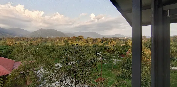 The Lumpang 乐龙邦 Picture 5