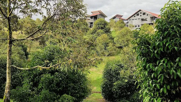 The Lumpang 乐龙邦 Picture 8