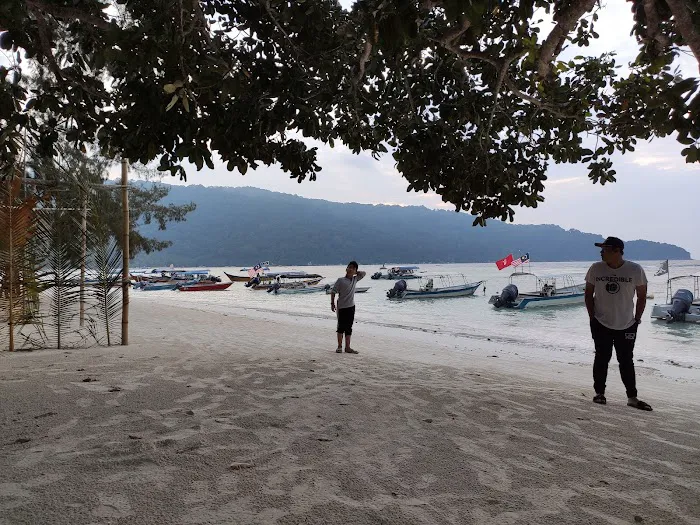 Fauna Beach Resort Picture 1