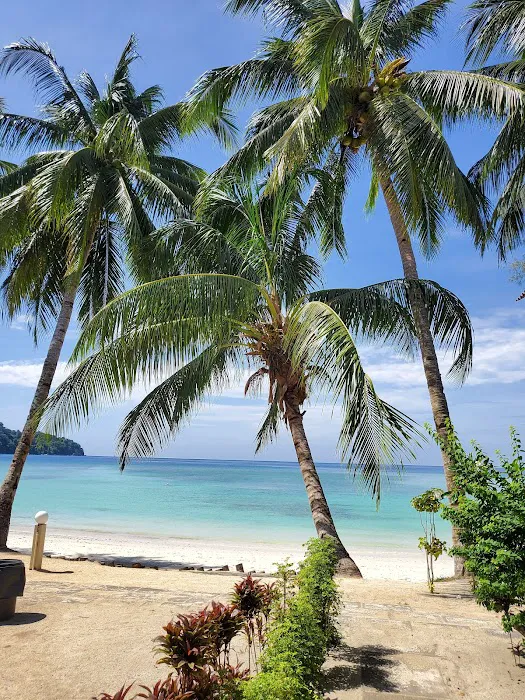 Samudra Beach Chalet Picture 10